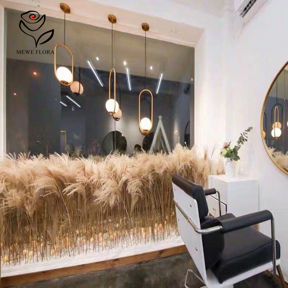 200PCS 자연 건조 푹신한 갈대 꽃 꽃다발 상점 창 - Luxury Lifestyle Store 리뷰 및 가격