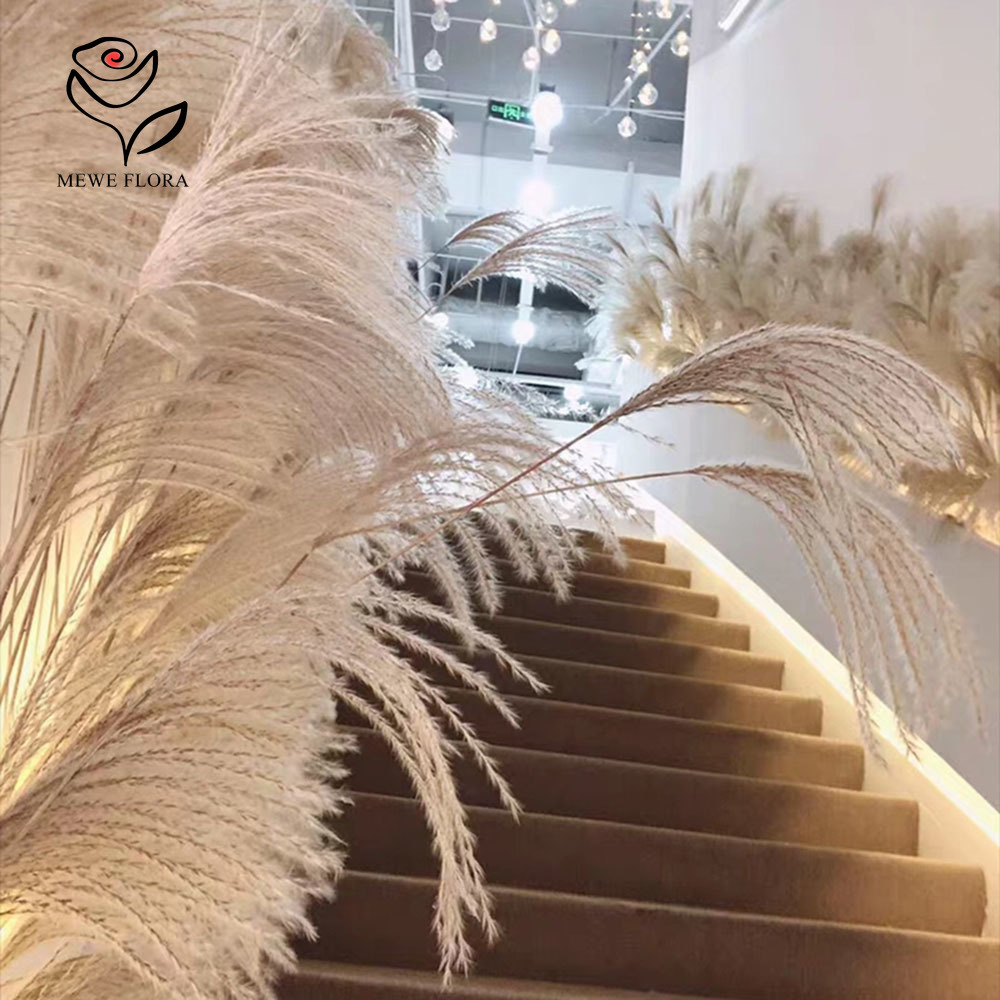 200PCS 자연 건조 푹신한 갈대 꽃 꽃다발 상점 창 - Luxury Lifestyle Store 리뷰 및 가격