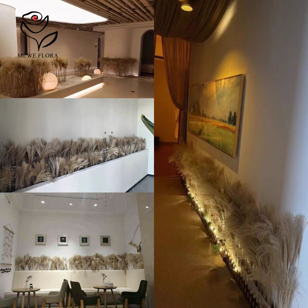 200PCS 자연 건조 푹신한 갈대 꽃 꽃다발 상점 창 - Luxury Lifestyle Store 리뷰 및 가격